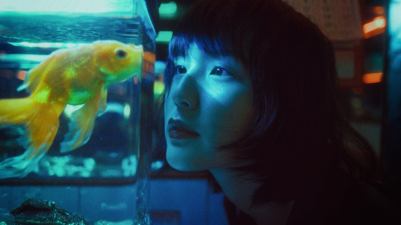 Quanto consuma un acquario?